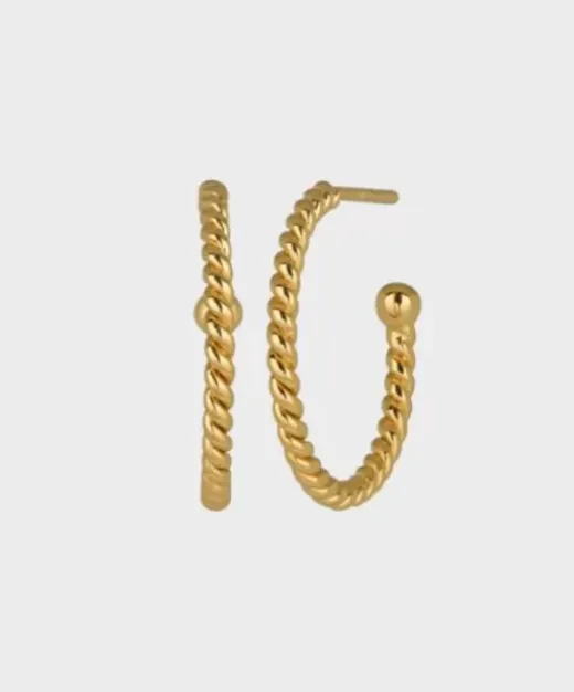 Twist Hoops